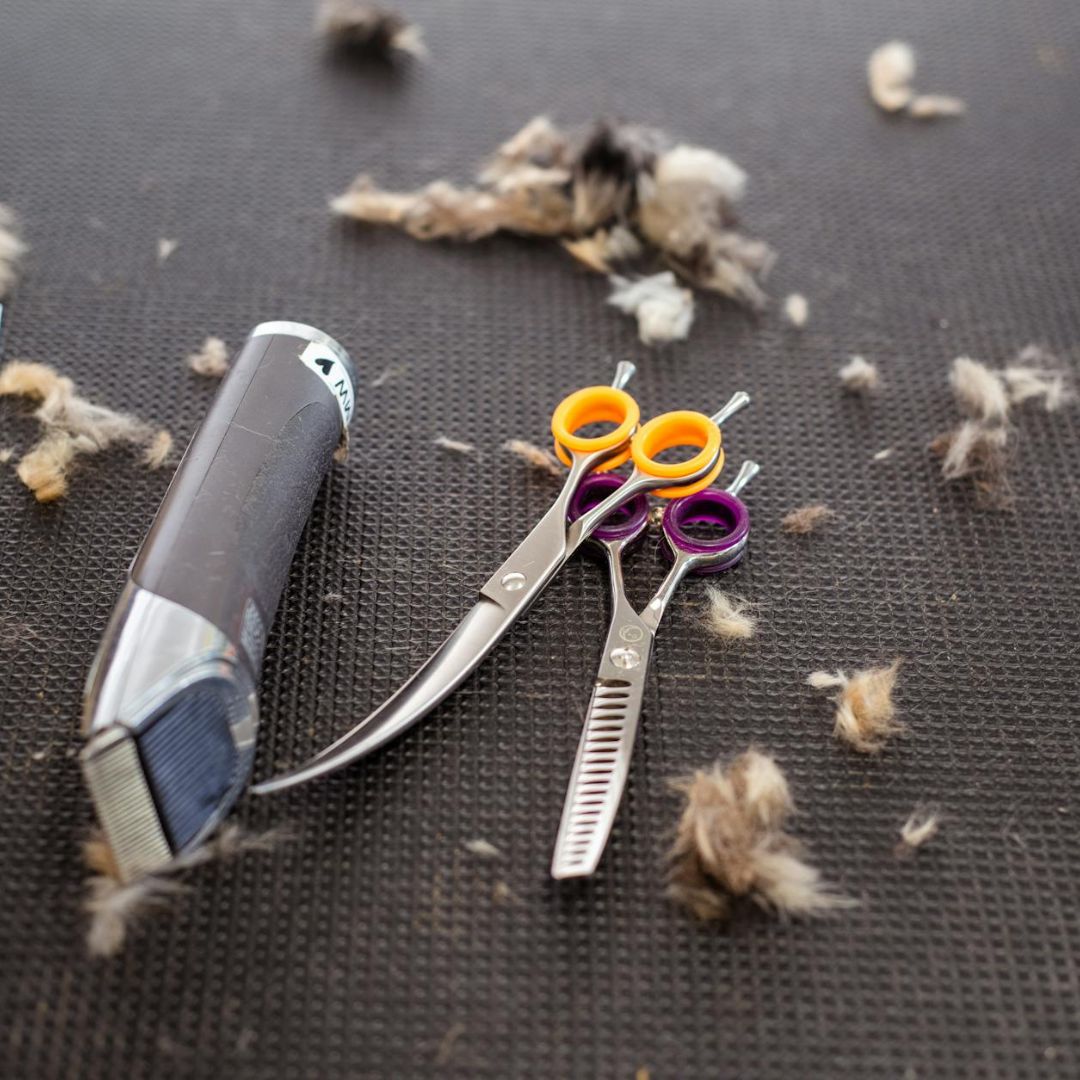 Pet Grooming Supplies