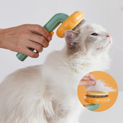 Pumpkin Self-Cleaning Pet Brush