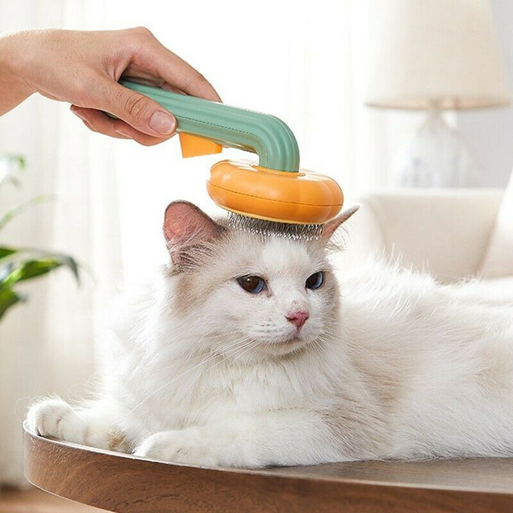 Pumpkin Self-Cleaning Pet Brush