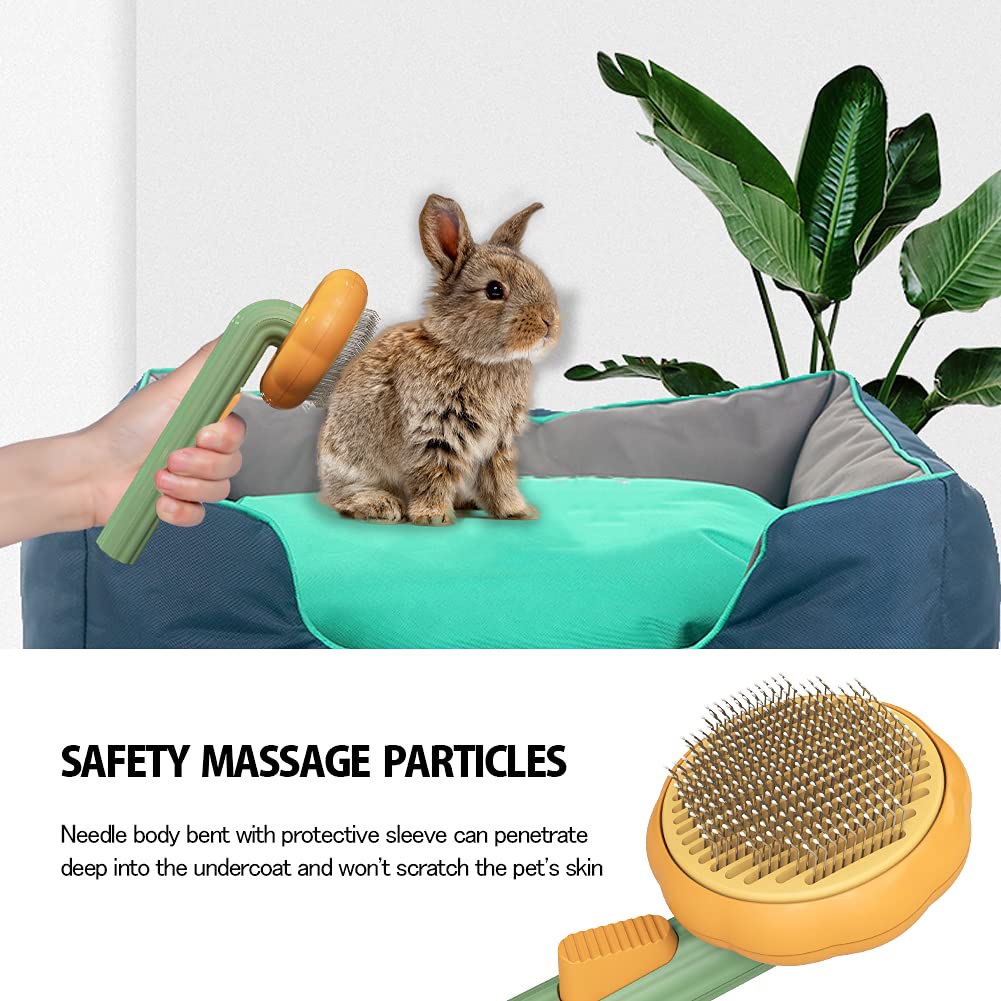 Pumpkin Self-Cleaning Pet Brush