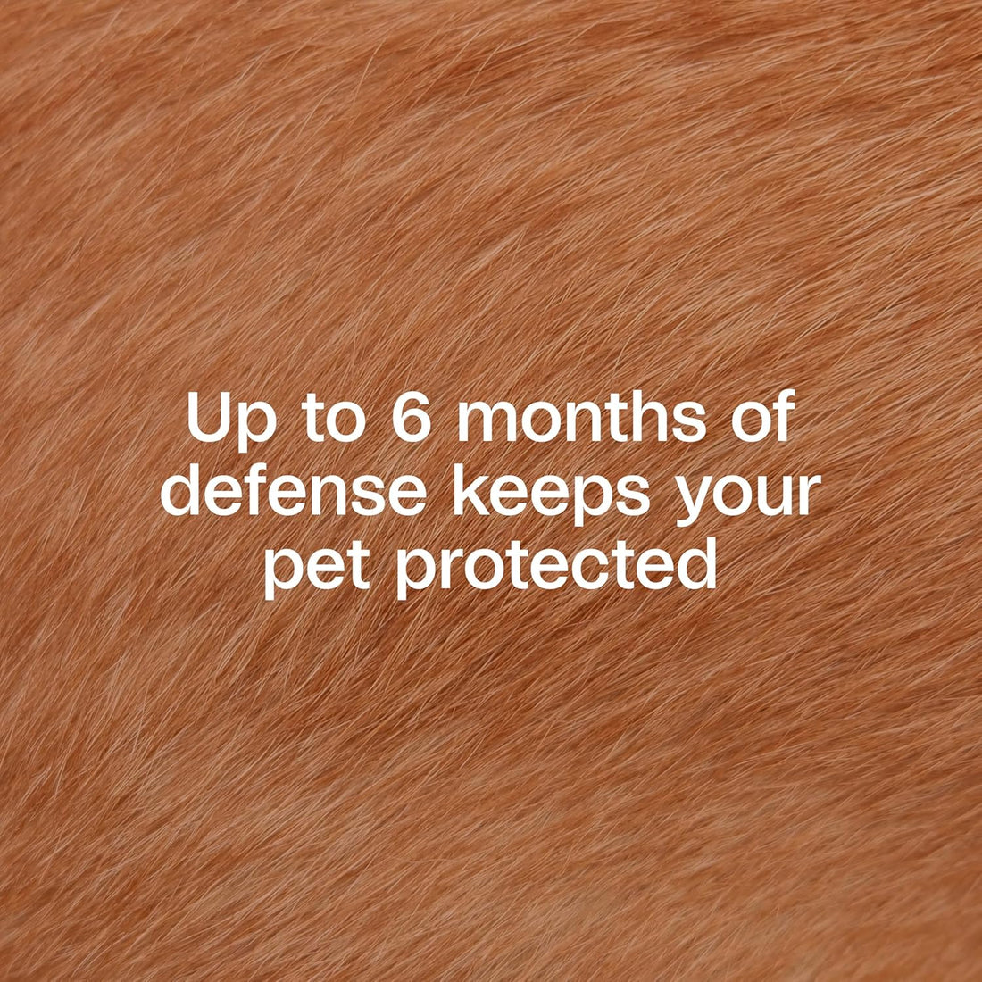 Adams Flea & Tick Collar for Dogs & Puppies Flea Collar Protection 2 Count
