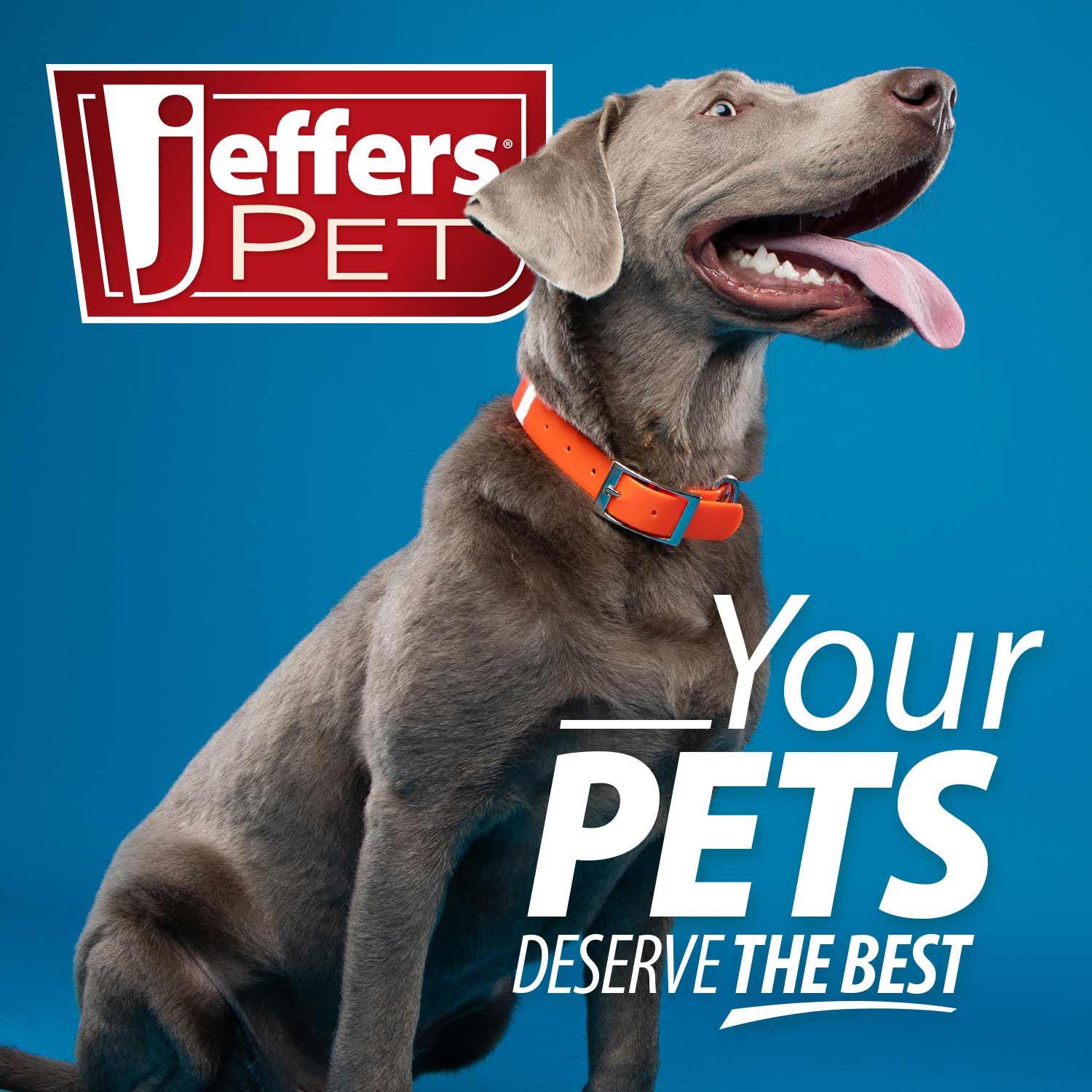 Jeffers Pet Nail File for Dog and Cat Nail Grooming, 7"L