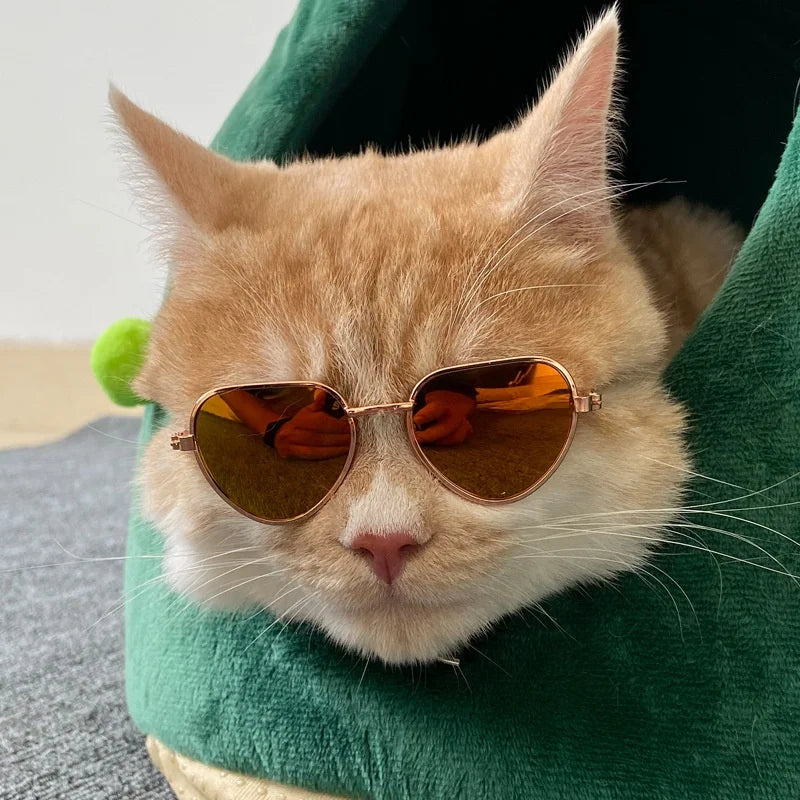 Non-Slip Pet Sunglasses for Cats and Small Dogs, Cute Cat Glasses Cosplay Photo Props