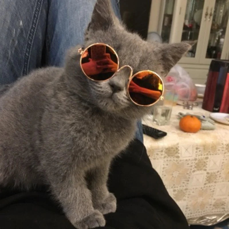 Non-Slip Pet Sunglasses for Cats and Small Dogs, Cute Cat Glasses Cosplay Photo Props