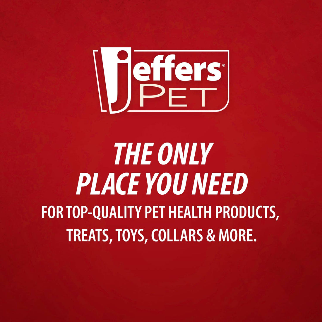 Jeffers Pin Brush for Pet Grooming